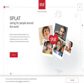 Скриншот главной страницы сайта splatglobal.com