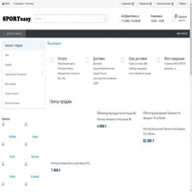 Скриншот главной страницы сайта sporteasy.ru