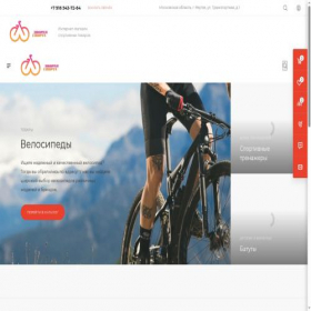 Скриншот главной страницы сайта sporttovary.online