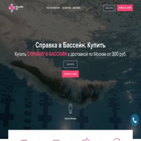 Скриншот главной страницы сайта spravkavbassein.com