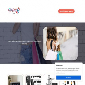 Скриншот главной страницы сайта spunky-store.com