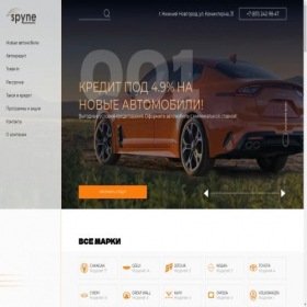 Скриншот главной страницы сайта spyne-new.ru