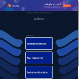 Скриншот главной страницы сайта squidex.net