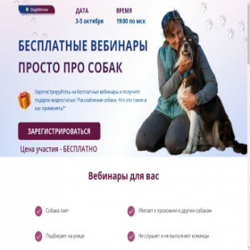 Скриншот главной страницы сайта ssyb33.com