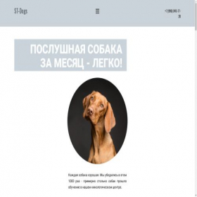 Скриншот главной страницы сайта st-dogs.ru