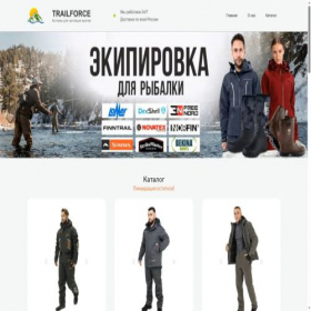 Скриншот главной страницы сайта stalwart-camp.online
