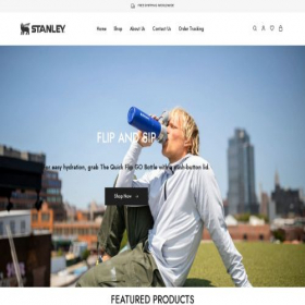Скриншот главной страницы сайта stanleysus.com
