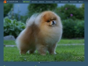 Скриншот главной страницы сайта starpom.ru