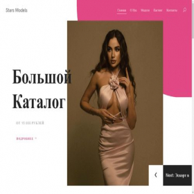 Скриншот главной страницы сайта stars-models.com