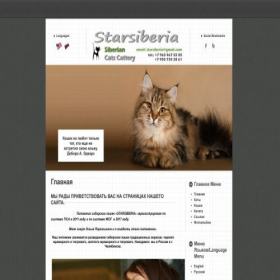 Скриншот главной страницы сайта starsiberia.ru