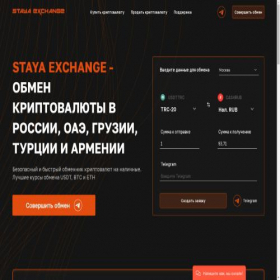 Скриншот главной страницы сайта staya.exchange