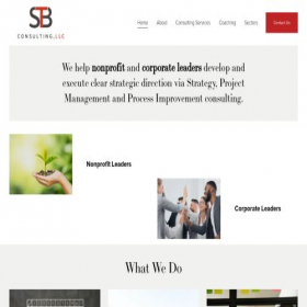 Скриншот главной страницы сайта stbconsultingllc.com