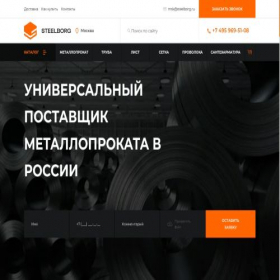 Скриншот главной страницы сайта steelborg.ru