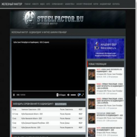 Скриншот главной страницы сайта steelfactor.ru