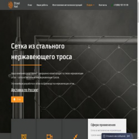 Скриншот главной страницы сайта steelnet.online