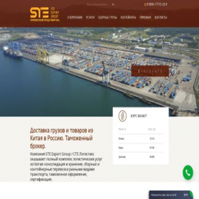 Скриншот главной страницы сайта steexport.ru