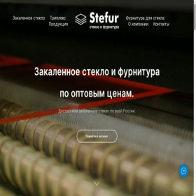 Скриншот главной страницы сайта stefur.ru