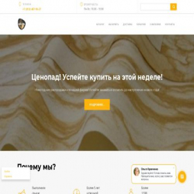 Скриншот главной страницы сайта steindek.ru