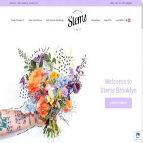 Скриншот главной страницы сайта stemsbrooklyn.com