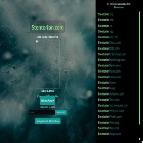 Скриншот главной страницы сайта stentorian.com