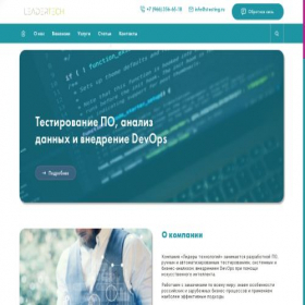 Скриншот главной страницы сайта stesting.ru