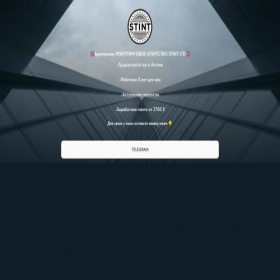 Скриншот главной страницы сайта stintltd.net