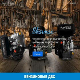 Скриншот главной страницы сайта store30084185.company.site