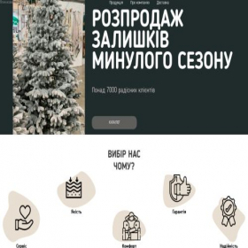 Скриншот главной страницы сайта storevik.co.ua