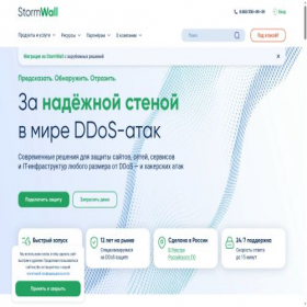 Скриншот главной страницы сайта stormwall.pro