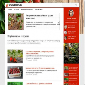Скриншот главной страницы сайта strawberry5.ru