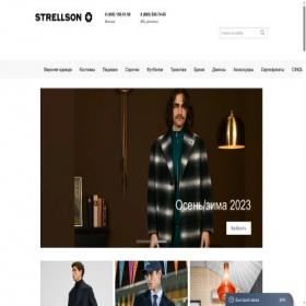 Скриншот главной страницы сайта strellson.msk.ru