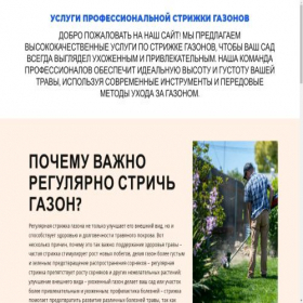 Скриншот главной страницы сайта strizhemgazon.ru