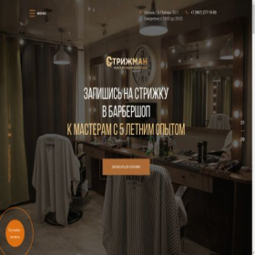 Скриншот главной страницы сайта strizhman.ru