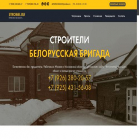Скриншот главной страницы сайта stroibel.ru