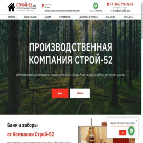Скриншот главной страницы сайта stroy52.pro