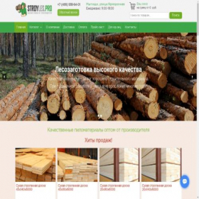 Скриншот главной страницы сайта stroyles.pro