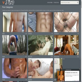 Скриншот главной страницы сайта stud.best