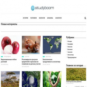 Скриншот главной страницы сайта studyboom.ru