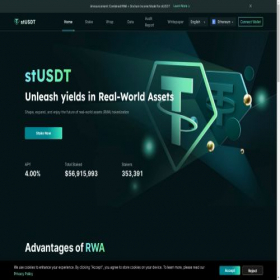 Скриншот главной страницы сайта stusdt.io