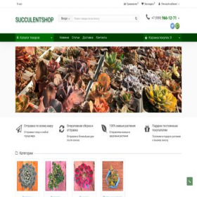 Скриншот главной страницы сайта succulentshop.ru
