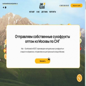 Скриншот главной страницы сайта sun-kissed.ru