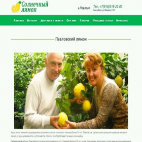 Скриншот главной страницы сайта sun-pavlovo.ru