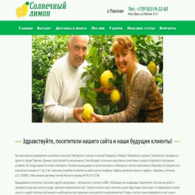 Скриншот главной страницы сайта sun-pavlovo.site