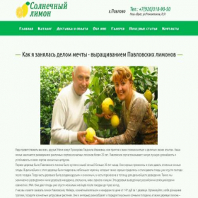 Скриншот главной страницы сайта sunpavlov.com