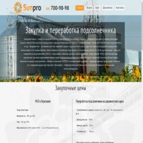 Скриншот главной страницы сайта sunpro.od.ua