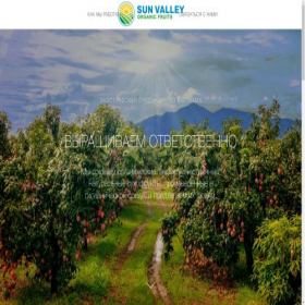 Скриншот главной страницы сайта sunvalley.eco