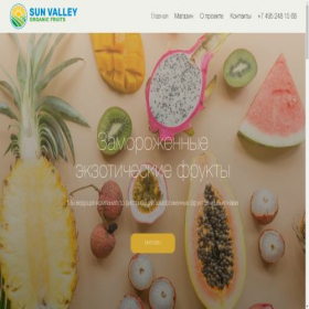 Скриншот главной страницы сайта sunvalley.site