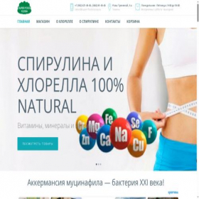 Скриншот главной страницы сайта super-food-russia.ru