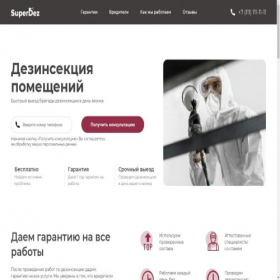 Скриншот главной страницы сайта superdez.ru