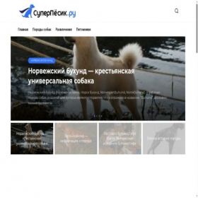 Скриншот главной страницы сайта superpesik.ru